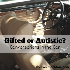 Gifted or Autistic?