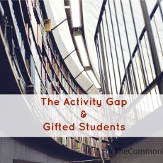 Activity gap and gifted children
